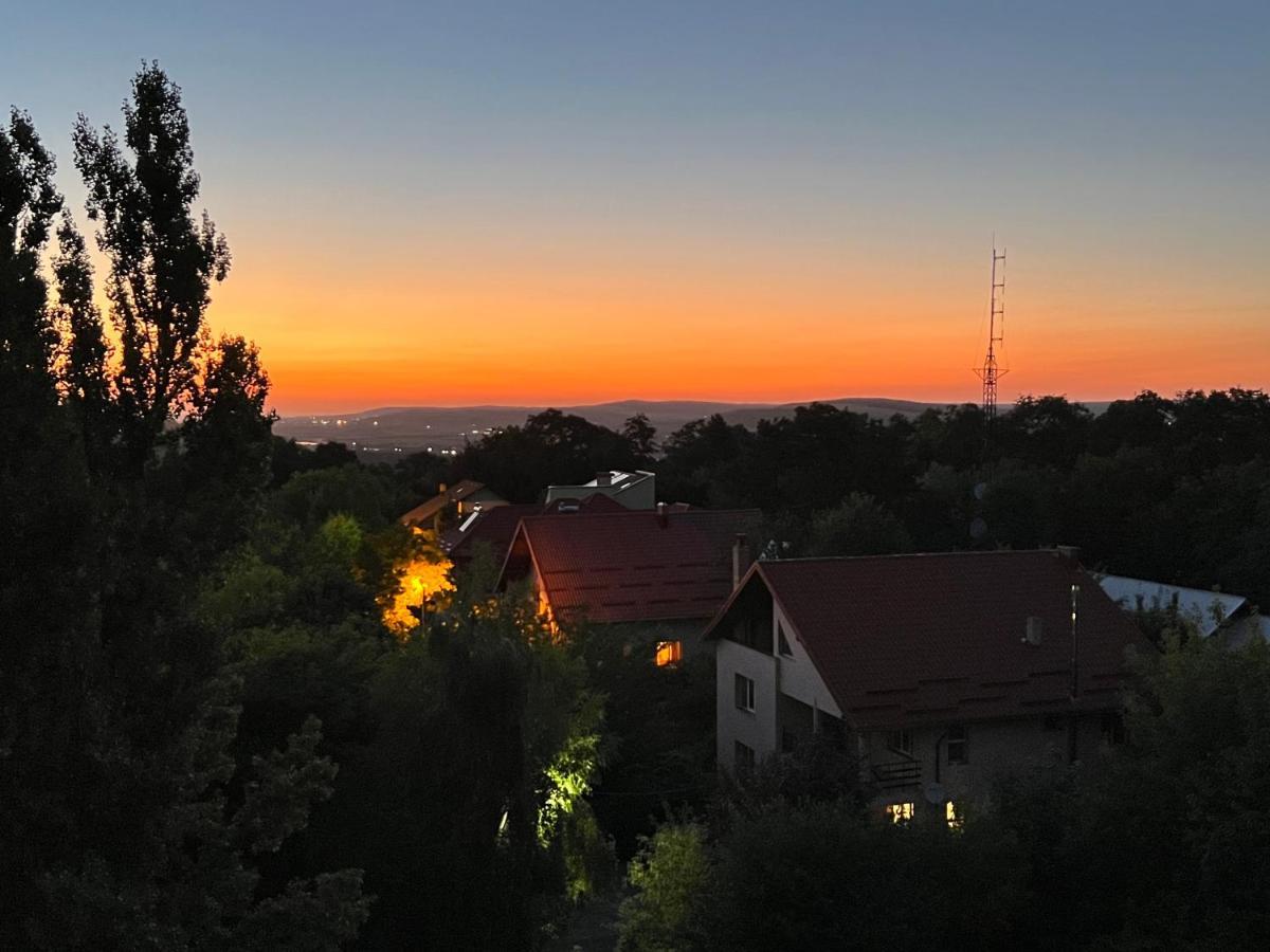 Altheda Living Zamca Appartement Suceava Buitenkant foto